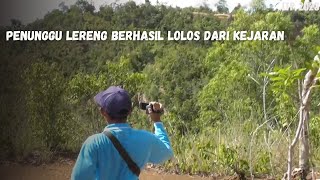 Penunggu Lereng Berhasil Meloloskan dari Kejaran || Wild Boar Hunting