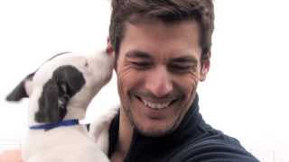 David Gandy - Battersea Dogs & Cats Home's First Ambassador (March 2012)