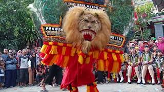 SOLAH DADAK MERAK PEMBARONG REOG PONOROGO DI KUTU WETAN#dadakmerak #reog #barongan