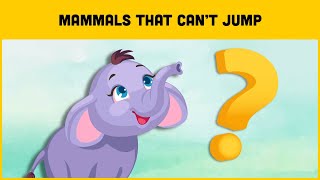 The Only Mammals That Can't Jump