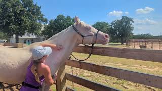 My "Kindest Stallion in the World" Rubicons Moonlight...💓💓💓