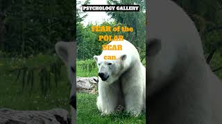 WHOA!!!  FEAR of the Polar Bear can do THIS!!!🤷‍♀️#shorts #shortsvideo #motivation #psychology