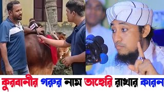 কুরবানীর গরুর নাম রাখলেন তাহেরি | কুরবানী দেওয়ার সঠিক নিয়ম | কেমন গরু কুরবানী দেওয়া উচিত | তাহেরি