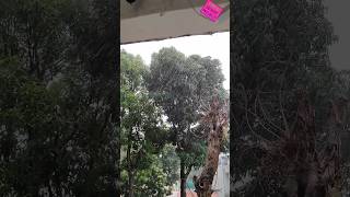 Rain storm. आंधी तूफान बारिश. ⛈️☔