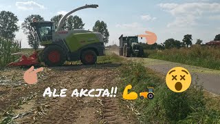 🔥Akcja koszenie kukurydzy!!! 😮😮🚜💪2020 Usługi rolnicze Grzegorz Wasiak! 👍🔥🚜💪