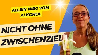 Weg vom Alkohol - DARUM Zwischenziele setzen und DARAUF beim Setzen achten.