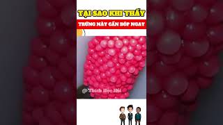 Trứng ốc bươu vàng có nên bóp nát #trending #tintuc #khampha #giaitri #funny #yeah #reviewphim