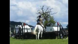 Horse jumping Henley Show 2015