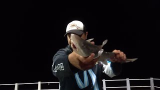 PESCA NOCTURNA EN EL CLUB DE PESCADORES MDP