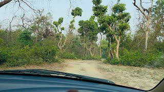 JIM CORBETT | HATHI DAGAR | RAMNAGAR | EXPLORE #hathidagar #ramnagar #jimcorbett #hathiattacked