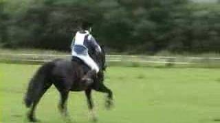 Rheidol Riding Centre Capel Bangor One Day Event July 2007