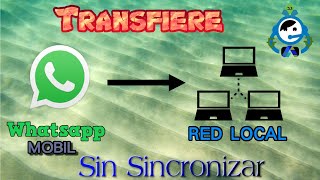 truco whatsapp tranferencia de archivos a red local sin sincronizar