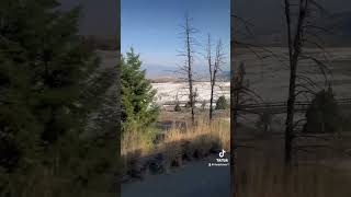 Yellowstone National Park Wyoming October 2024