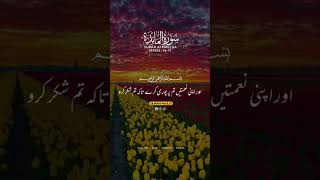 اے ایمان والو