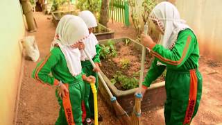 SDN Jawa 5 Martapura Go Green School