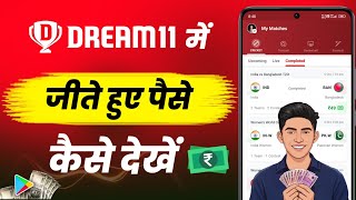 Dream11 me jite huye paise kaise dekhe | How to check winning amount in dream11