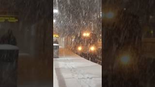 LIRR M7 at Old Mineola during Snowstorm