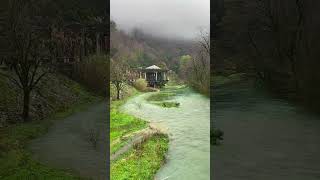 Forest River flowing in Early Morning 4k. Relaxing River Sounds, White Noise for Sleep, Meditation.