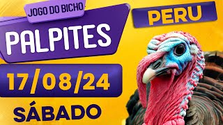 PALPITE DO DIA 17/08/2024 - JOGO DO BICHO 🍀 TODAS AS LOTERIAS 🍀