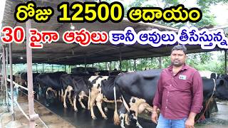 30 పైన ఆవులు కానీ తీసేస్తున్న Cow's dairy farm @MalleshAdla