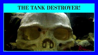 Episode 87 - Ammonia Will Wipe Out Your Fish Tank! How to Prevent the Silent Killer from Striking!