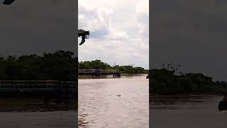 marina 1633 tujuan keluar dari jetty ambo sungai lilin palembang#shorts #short #shortvideo