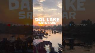 DAL LAKE - കശ്മീരിലെ രാത്രി യാത്രകൾ 🥰 KLP TRAVELLER | KL PRADEEP #dallake #sreenagar