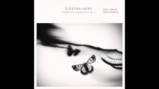 Sleepwalkers No.1 | Salar Niknafs & Geoff Williams (experimental noise drone guitar)