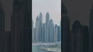 Oh!! Who is falling from the Sky? #dubailife #skydiving #dubaimarina #jbrbeach