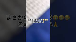 川で渓流ミノーを投げると…