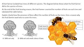 Quick Science question Hacks, a covered tree