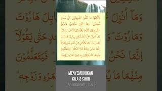 Fadilah Al Quran : Bebas dari sihir #shorts #murottal #dzikir #albaqarah #tilawah #tilawahquran