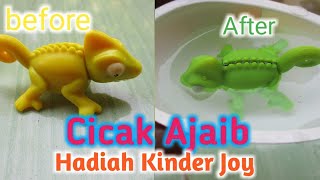 BELI KINDER JOY -dapat mainan cicak Ajaib berubah warna