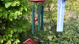 Woodstock Chimes of Mars, Evergreen