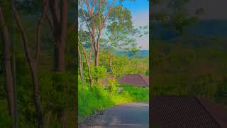 Jalan Menuju Obelix Hills #shorts