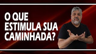 O que estimula sua caminhada? | Luiz Mota Psicólogo