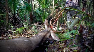 Cacería de venado cola blanca en Florida 2024