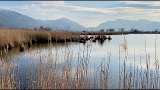 Benediktbeuern - Teil 1: Zum idyllischen Spatzenpointweiher (in 4K)