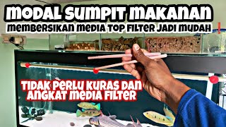 Cara Membersihkan Media Filter di Top filter tanpa Kuras dan Angkat media  | Aquarium