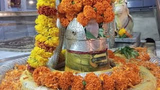 शिव जी पूजन 🙏❤🚩ॐ नमः पार्वती पतये हर हर महादेव🙌#viralvideo #viral#shiv #shivshankar @mahadevmiracle