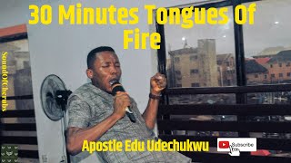 30 MINUTES TONGUES OF FIRE (FIREBRAND) -  APOSTLE EDU UDECHUKWU