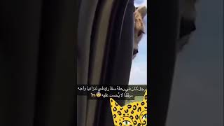 يمه الله يرحمه #tiktok #explore #السعودية #youtubeshorts #like #ترند_السعودية #shorts #short