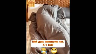 Начало дня, прикол , смешные животные  #shorts