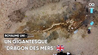 Le fossile d'un ichthyosaure refait surface dans une réserve naturelle du Royaume Uni