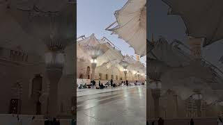 Payung  Masjid Nabawi terbuka || Madinah @Emak_Petualang  #lagu  #hajj #shorts #quotes