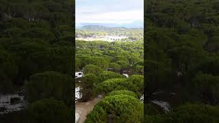 Kozak plateau bergama drone snow view #travelturkey #dronevideo #aerialview #türkiye