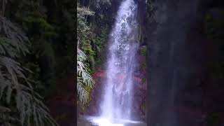 CURUG CIHANYAWAR #shorts #waterfall #nature #airterjun #curug