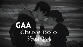 Gaa Chuye Bolo-গা ছুঁয়ে বলো (slowed+reverb) Lofi mix song ||SURONGO || itz me black