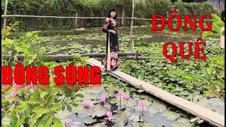 Bông Súng Đồng Quê- Ca cổ Thu Trang