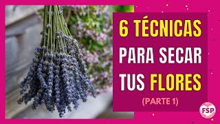 🌷6 TÉCNICAS para SECAR tus FLORES [Parte 1] 🌷#flores #floressecas #floresprensadas #manualidades